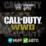🎁Call of Duty: WWII🌍МИР✅АВТО