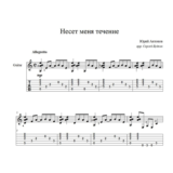 Несет меня течение (Юрий Антонов) для гитары