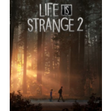 🎭Life is Strange 2✔️STEAM Аккаунт | ОФЛАЙН