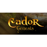 Eador. Genesis * STEAM РОССИЯ🔥АВТОДОСТАВКА