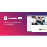 Elementor PRO - Best WordPress Page Builder 3.20.2