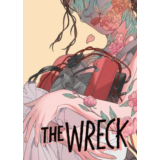 ✅ The Wreck