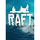 ✅ Raft