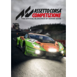 ✅ Assetto Corsa Competizione