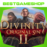 ✅ Divinity: Original Sin 2 - 100% Гарантия 👍