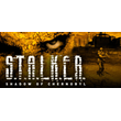 STALKER: Shadow of Chernobyl * STEAM🔥AUTODELIVERY