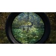 theHunter Call of the Wild | EPIC GAMES ACCOUNT EMAIL