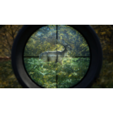 theHunter Call of the Wild | EPIC GAMES АККАУНТ + ПОЧТА
