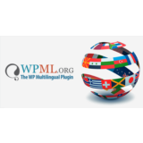 WordPress Multilingual Plugin with Premium Add-ons
