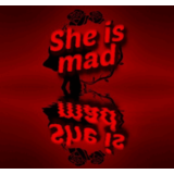 ✅She is mad⚡Steam\РФ + Весь Мир\Key⭐