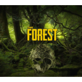 🌈 The Forest 💥 Steam Ключ 🎀 Весь мир