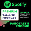 🎶 Мини, Индивидуальная, Дуо, Семья 🌐 Spotify Premium