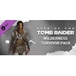 Wilderness Survivor (Steam Gift Россия)