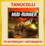 ☀️ Mudrunner (PS/PS5/RU) П3 - Активация