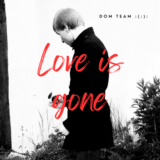DOM TEAM - Love is gone