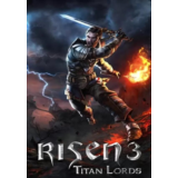 Risen 3: Titan Lords КЛЮЧ🔑 STEAM РФ+СНГ