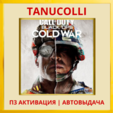 ☀️ Call of Duty B.O Cold war (PS4/PS5/RU) П3 Активация