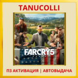 ☀️ Far Cry 5 (PS4/PS5/RU) П3 - Активация