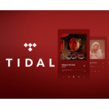 ✅АККАУНТ TIDAL HiFi PLUS 2/3/4  МЕСЯЦЫ🔥Обновить