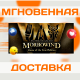 THE ELDER SCROLLS III: MORROWIND GOTY \ STEAM \ КЛЮЧ