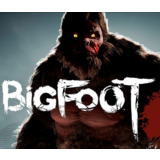 BIGFOOT - ОНЛАЙН (STEAM ОБЩИЙ АККАУНТ)