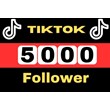 5000 tiktok follower 100% real, active user, high quali
