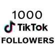 1000 tiktok followers