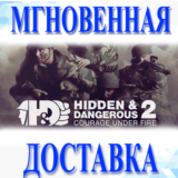 🔥Hidden & Dangerous 2 Courage Under Fire\Steam\Мир\Key