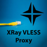 Xray VLESS Reality VPN Proxy Нидерланды 1 месяц