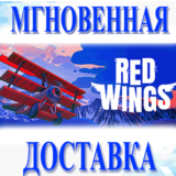 🔥Red Wings: Aces of the Sky \Steam \ \ Key