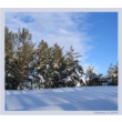 Winter landscape