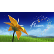 🍓 Flower (PS5/RU) П3 - Активация