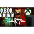 🎃Stray (Xbox)+game total