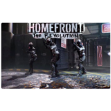 🍓 Homefront: The Revolution (PS5/RU) П3 Активация