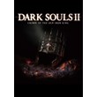 DARK SOULS II Crown of the Old IronKing💳0%🔑SteamРФСНГ