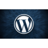[WP] Security Ninja v5.229