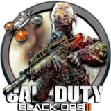 Call of Duty:Black Ops II+Call of Duty:World at War®🟩