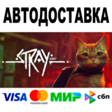 Stray 🔵 АВТОДОСТАВКА 🚀 STEAM Все регионы • 0%