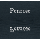 ✅Penrose ⚡Steam\РФ + Весь Мир\Key⭐+ 🎁Бонус