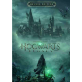 🎮 Hogwarts Legacy 🎮 ТОЛЬКО ВАШ 🎮 СМЕНА ДАННЫХ