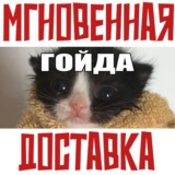 ✅МЕМОЛОГИЯ: ЕГЭ ПО МЕМАМ ⚡ Steam\РФ + Весь Мир\Key⭐