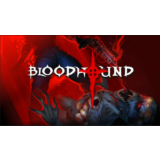 💥Bloodhound 🔵 PS5 🔴TR🔴