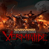 🔵Warhammer: End Times Vermintide | PS4/PS5 Турция