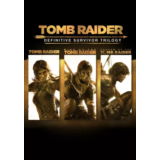 Tomb Raider Definitive Survivor Trilogy 21 В 1 🔑 STEAM