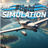 💥Pilot Flight Simulation 🔵 PS4/PS5 🔴ТУРЦИЯ🔴