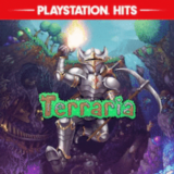 🔴 Terraria❗️PS4/PS5 🔴 Турция