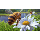 Bee Simulator PS4 & PS5