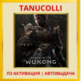 ☀️ Black Myth: Wukong (PS/PS5/RU) П3 - Активация