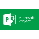 PROJECT PRO/Standard 2024/2021/2019/2016