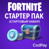 Fortnite: Стартер пак ( стартовый набор )